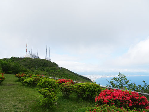 つつじと御殿山