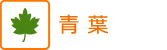 紅葉情報　青葉