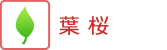 開花情報・桜　葉桜
