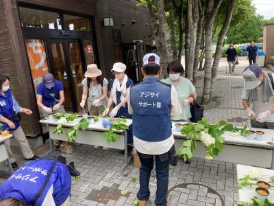 市民の森アジサイサポート隊