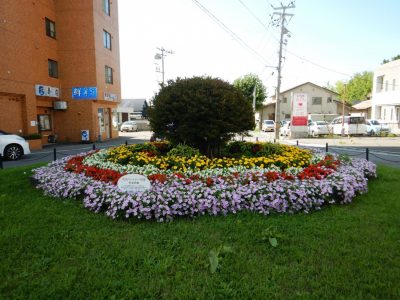 花のボランティア（花のパートナー・ポケットパーク）