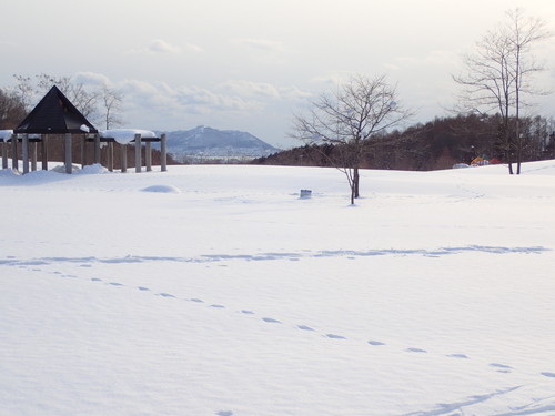 野原の丘ゾーン　はらっぱ雪景色