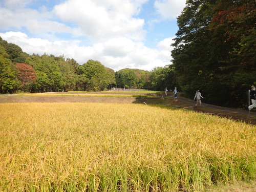 小川の里ゾーン　里山