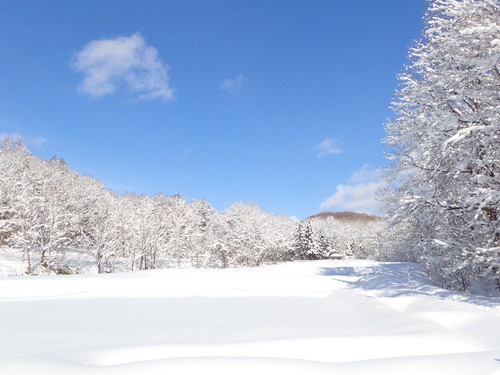 小川の里ゾーン　冬景色