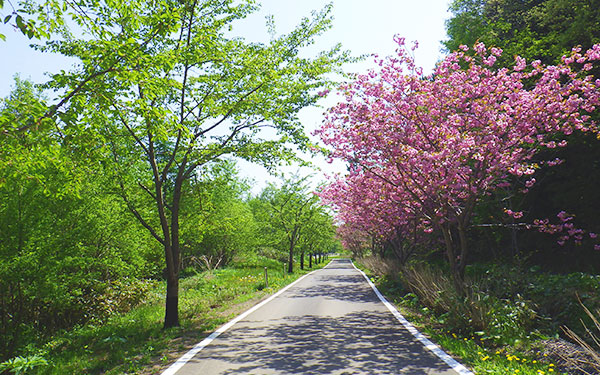 小川の里園路