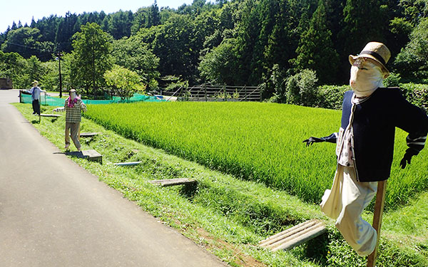 小川の里ゾーン　水田風景