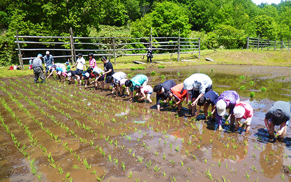 小川の里ゾーン　田植え体験会